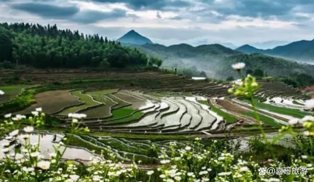 浙江丽水市庆元县值得游玩的旅游景点有哪些？自驾游有什么攻略？-