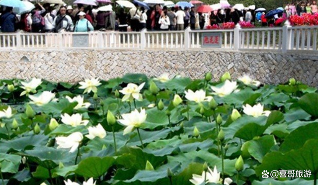 福建漳州市南靖县值得游玩的旅游景点有哪些？自驾游有什么攻略？-