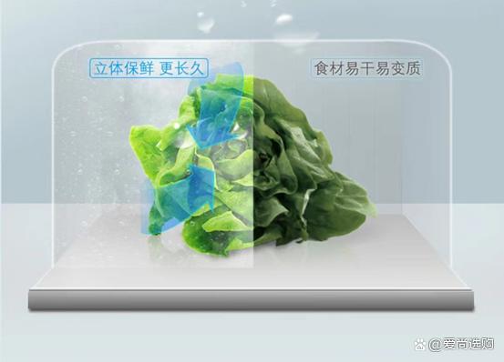 西门子冰箱博世冰箱哪个更好？两个品牌有什么区别吗-