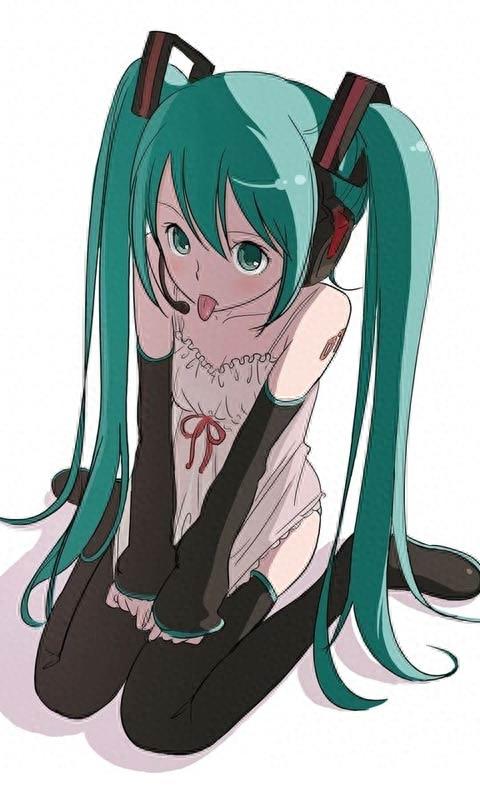 初音未来手机壁纸　上海演唱会过后玩的嗨皮吗？第十弹